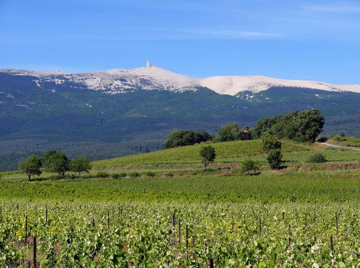 Petit Gite De Provence มาซอง ภายนอก รูปภาพ